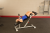 Body-Solid SAB500_10.png